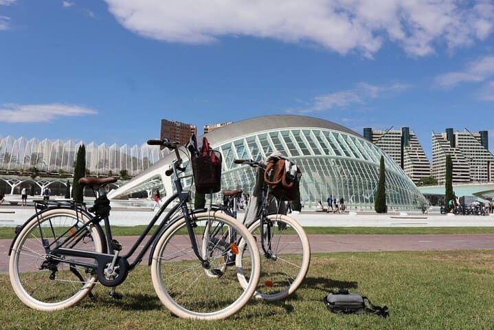 Valencia Full-Day Bike Rental: Explore Turia Park, Seafront & City Routes