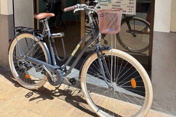 Valencia Full-Day Bike Rental: Explore Turia Park, Seafront & City Routes photo 3