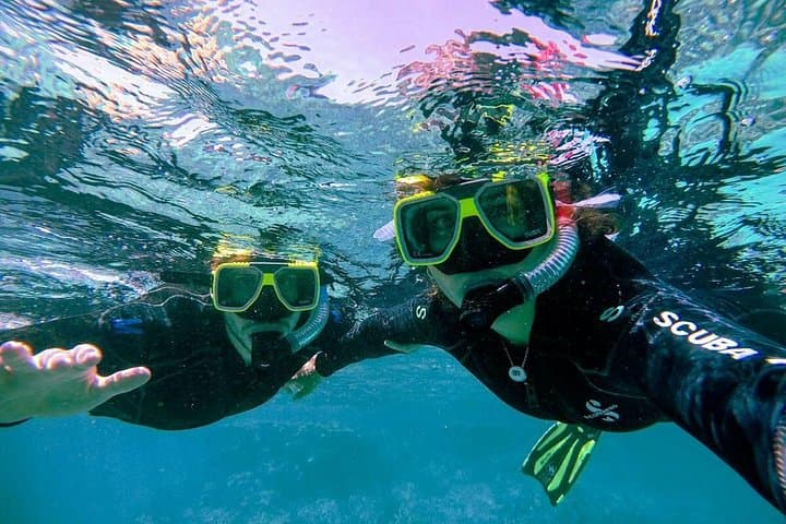 Snorkel the African Sea Forest: Private Guided Kelp Safari from Simon's Town