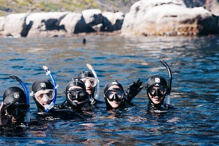 Snorkel the African Sea Forest: Private Guided Kelp Safari from Simon's Town photo 3