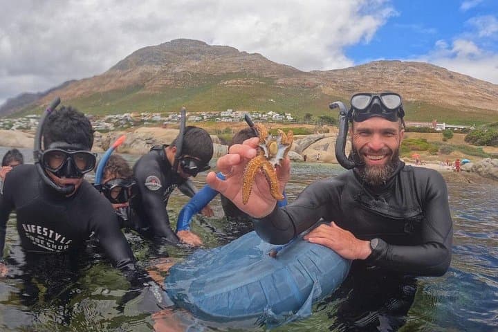 Snorkel the African Sea Forest: Private Guided Kelp Safari from Simon's Town photo 2