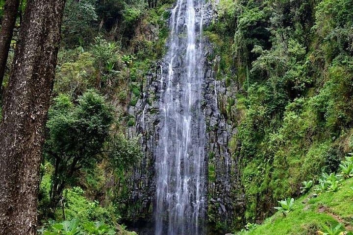 Materuni Waterfalls & Coffee Tour — Hike, Swim & Chagga Coffee Near Moshi photo 3