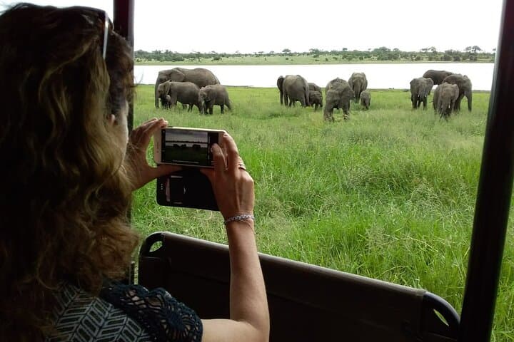 Kruger Park Safari and Community Service: 10-Day Big Five & Village Immersion photo 2