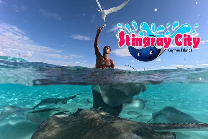 Stingray City & Starfish Snorkel: Coral Garden Adventure in Grand Cayman photo 2