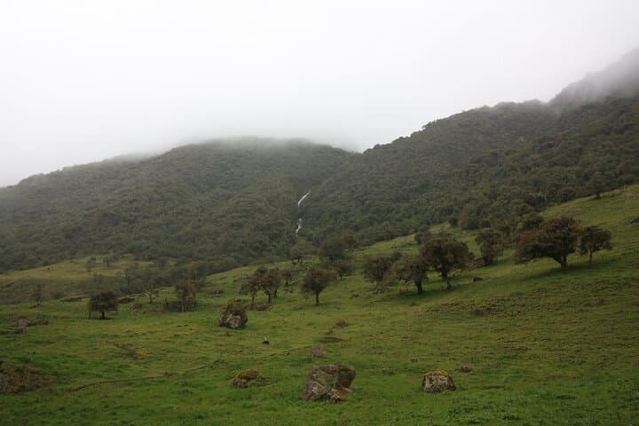 Full-Day Papallacta Hot Springs: Mineral Baths and Páramo Walks from Quito photo 5