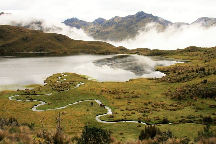 Full-Day Papallacta Hot Springs: Mineral Baths and Páramo Walks from Quito photo 6