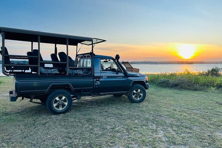 Yala National Park Safari — Half & Full‑Day Jeep Tours to Spot Leopards photo 5