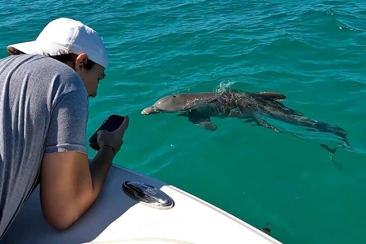 Key West Dolphin Watching & Snorkeling Tour from The Perry Hotel photo 6