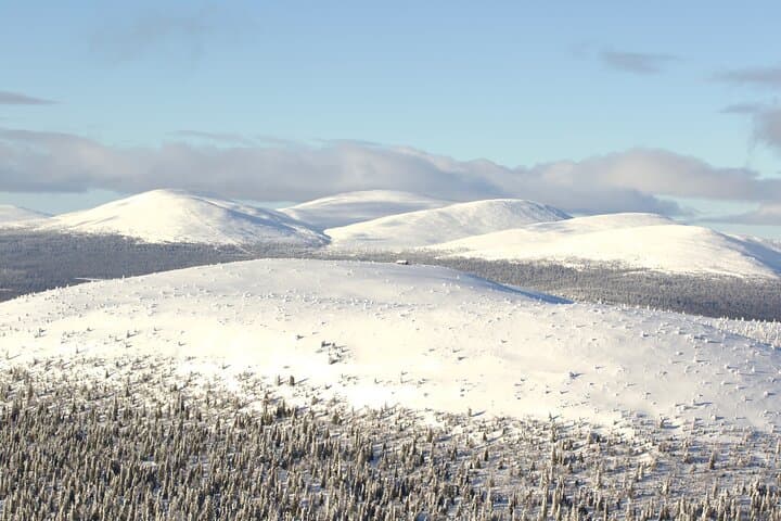 Levi Snowshoe Shuffle — Guided Snowshoeing in Finnish Lapland photo 2