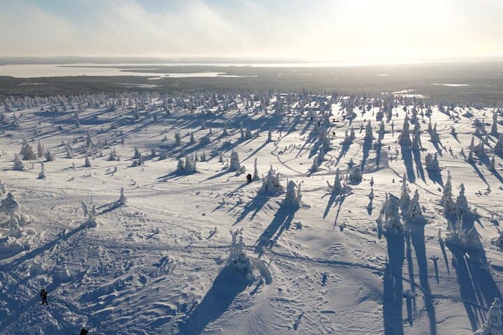 Levi Snowshoe Shuffle — Guided Snowshoeing in Finnish Lapland photo 4