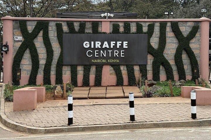 Giraffe Centre Nairobi: Hands-On Rothschilds Giraffe Encounter & Kobe Beads Visit