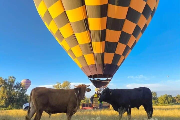 Sunrise Balloon Over Teotihuacan: Flight, Breakfast in Cueva & Guided Ruins Tour photo 1