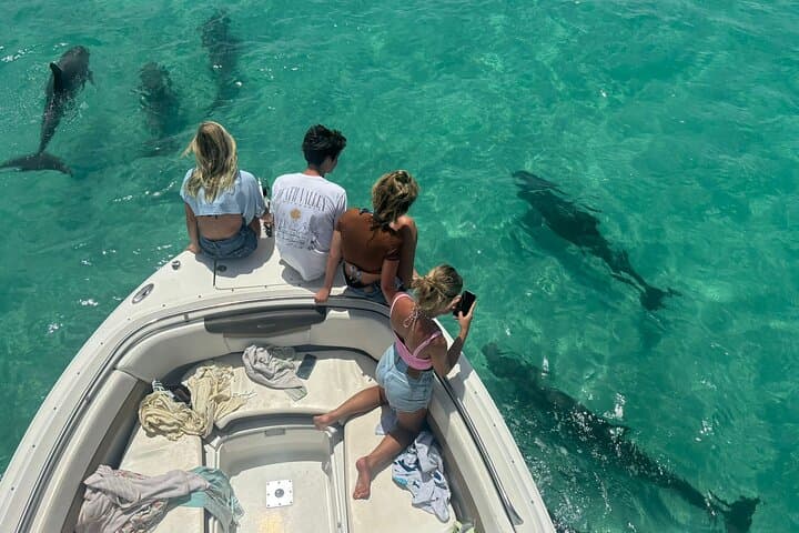 Key West Small-Group Dolphin Watching & Snorkeling: Sandbars, Backcountry Reefs, and Calm Water photo 3