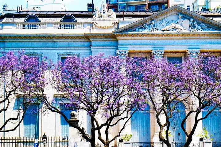 Solve a Recoleta Murder Mystery: Self-Guided Outdoor Detective Game in Buenos Aires photo 3