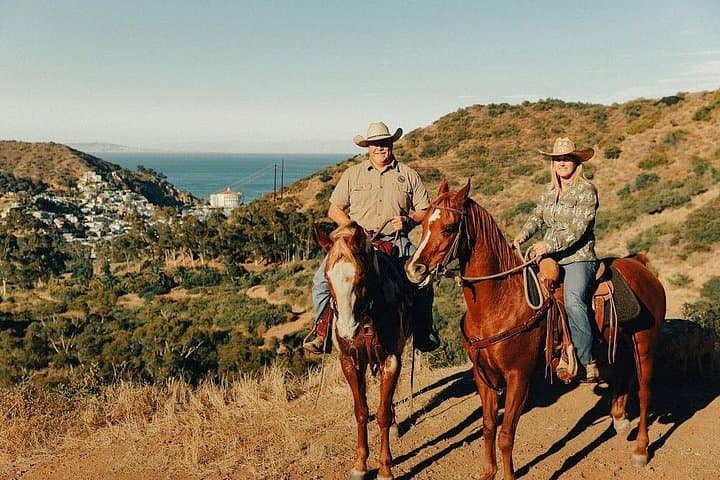 Horseback to the Avalon Overlook: 75-Minute Catalina Island Trail Ride photo 3