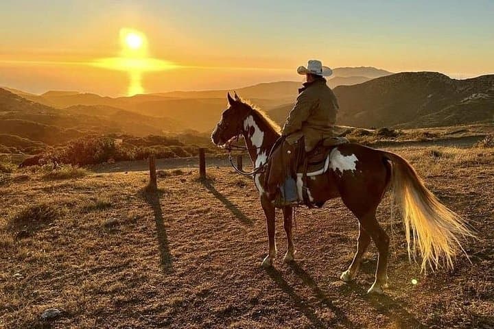 Horseback to the Avalon Overlook: 75-Minute Catalina Island Trail Ride photo 2