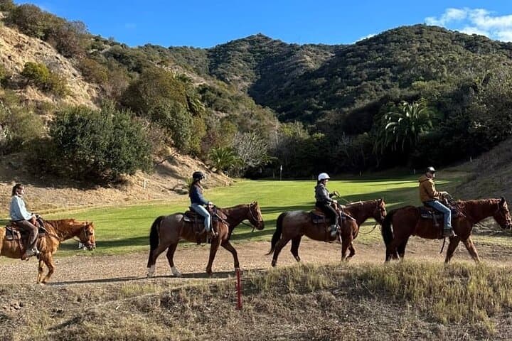 Private Horseback Trail Ride on Catalina Island — Avalon Canyon & Harbor Views photo 2