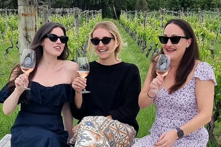 Waiheke Off-Grid Small-Group Wine Tour: Boutique Wineries & Back-Roads photo 2