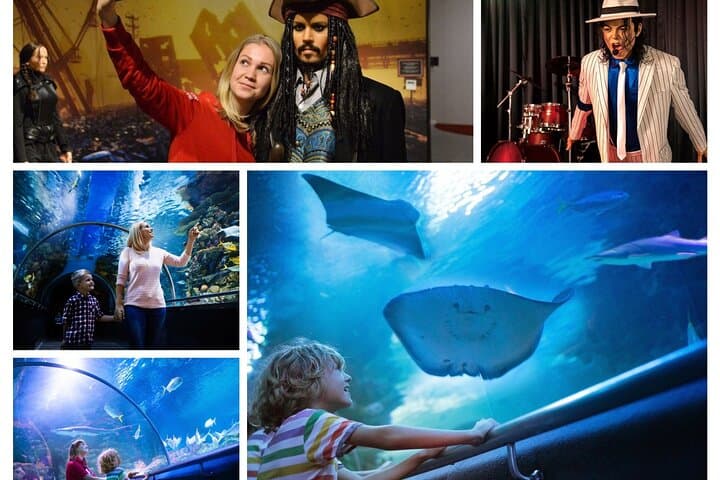 Antalya Aquarium & Wax Museum: Skip-the-Line Konyaaltı Combo photo 2