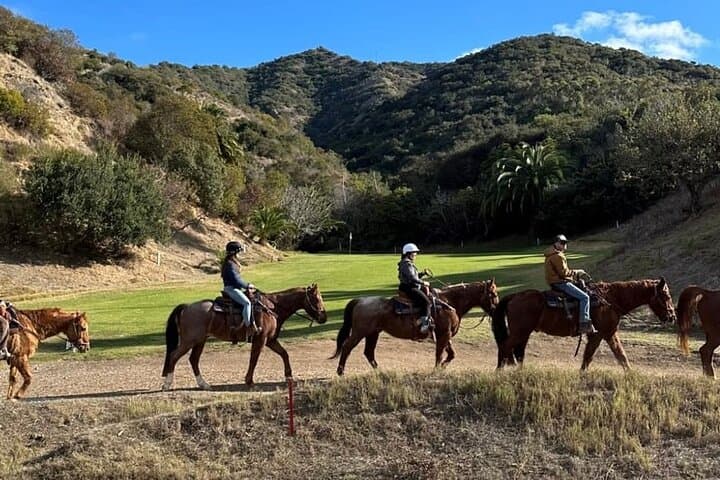 Two-Hour Horseback Ride Above Avalon — Catalina Island Trails & Ocean Views