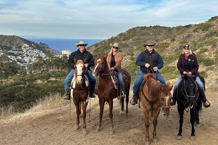 Two-Hour Horseback Ride Above Avalon — Catalina Island Trails & Ocean Views photo 2