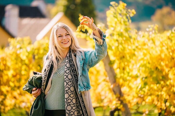 Wachau Valley Private Wine Tour: Tastings, Castles & Gourmet Lunch from Vienna photo 3