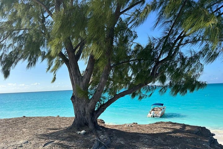 Providenciales Full-Day Private Snorkel & BBQ Charter — Little Water Cay to Sandbar Lunch photo 2