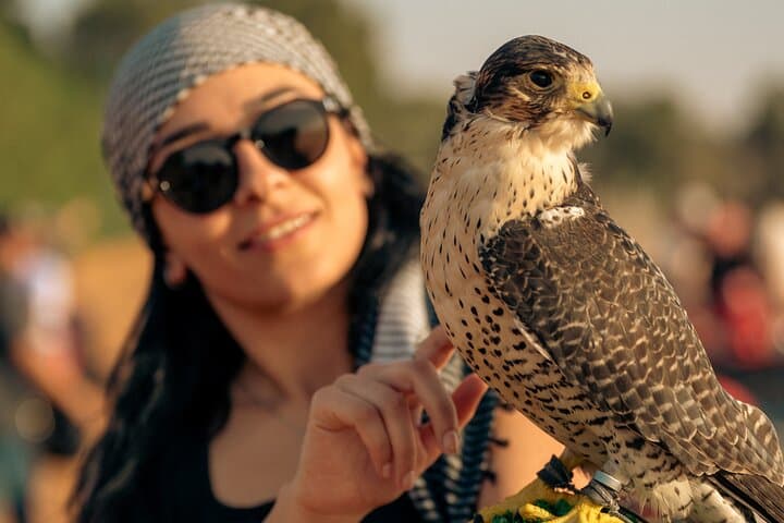 Dubai Half-Day Desert Safari: Quad Bikes, Sandboarding & Camel Ride photo 4