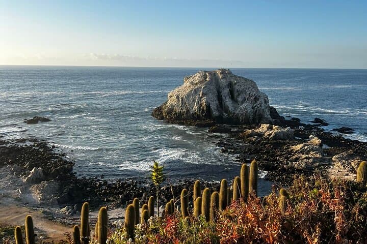 Full-Day Chile Coast Escape from Santiago: Valparaíso, Viña del Mar & Concón Dunes