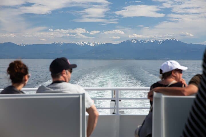 Winter Victoria Covered-Vessel Whale and Wildlife Tour photo 4