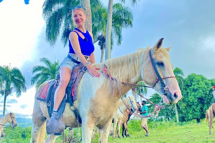 Discover the Heartbeat of Dominican Culture on a Small Group Safari