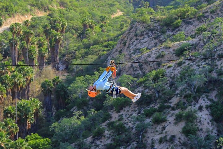 Zipline Challenge in Cabo — 7-Line Canyon Flight, Suspension Bridges & Rappelling