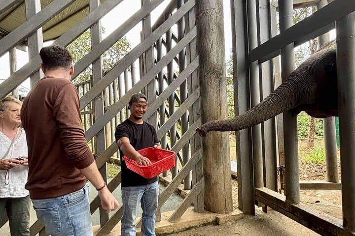 Yok Don Elephant Sanctuary: Rescue Center and Don Village Cultural Tour photo 6