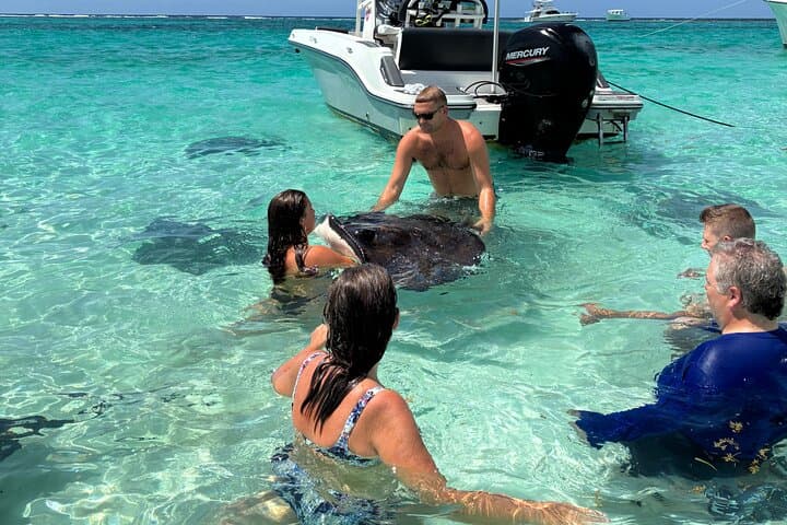 Private Stingray City Charter — Snorkel, Swim & Starfish in Grand Cayman photo 4