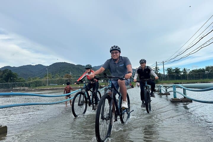 Countryside Cycling Through Langkawi Paddy Fields: Small-Group Tour