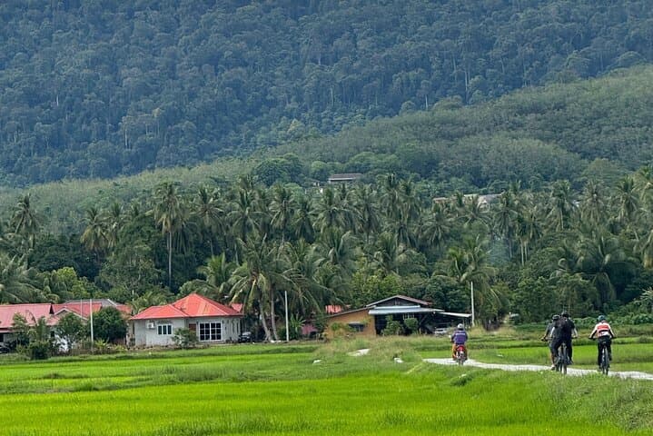 Countryside Cycling Through Langkawi Paddy Fields: Small-Group Tour photo 2