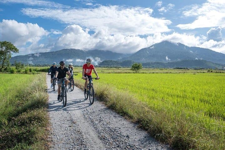 Countryside Cycling Through Langkawi Paddy Fields: Small-Group Tour photo 4
