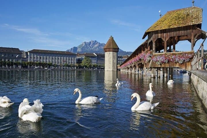 Lucerne Top Sights: Partially Guided Day Trip from Zurich photo 4