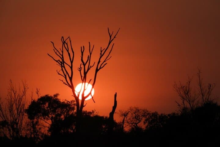 3-Day Kruger Park Safari Adventure — Manyeleti & Kruger Big Five Safari photo 3