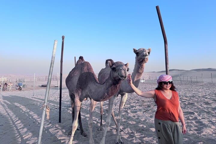 Evening Desert Safari & BBQ in Abu Dhabi: Half-Day Dune Bashing, Camel Ride & Sunset photo 6