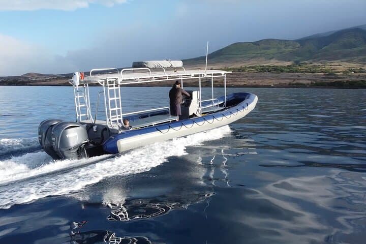VIP Whale Watch from Kaanapali Beach — 2-Hour Maui Humpback Adventure