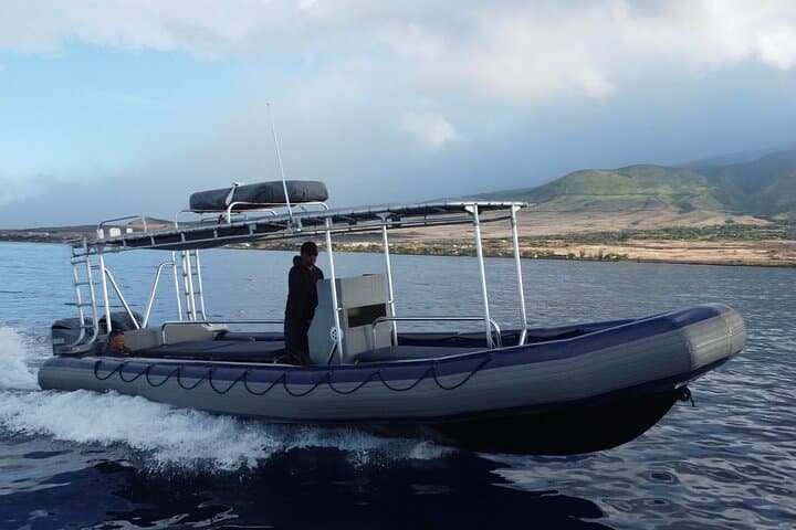 VIP Whale Watch from Kaanapali Beach — 2-Hour Maui Humpback Adventure photo 3