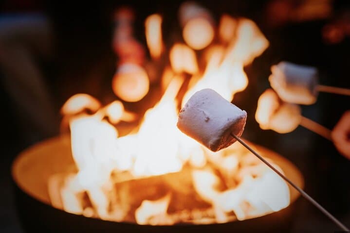 Explore Tahoe Forest With an ISA-Certified Arborist: Tree ID, Wood-Chopping & Campfire photo 6