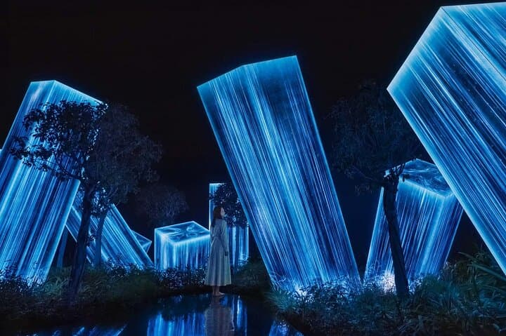 TeamLab Phenomena Abu Dhabi: Immersive Digital Art Experience photo 2