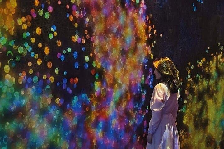 TeamLab Phenomena Abu Dhabi: Immersive Digital Art Experience photo 4