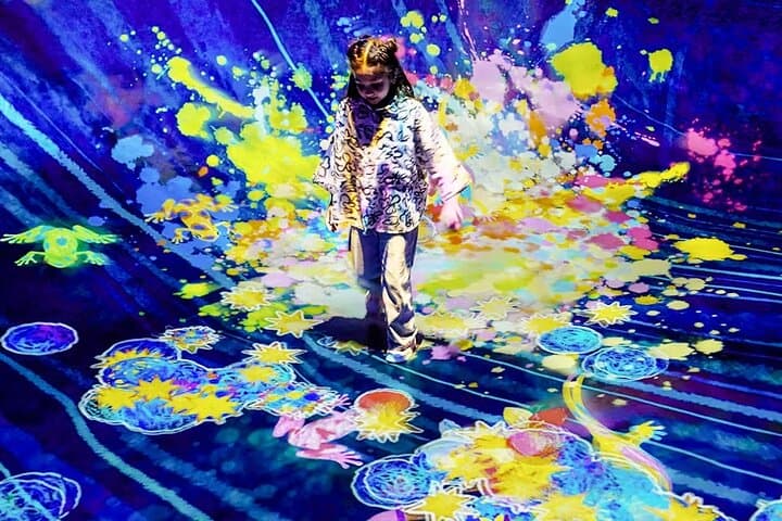 TeamLab Phenomena Abu Dhabi: Immersive Digital Art Experience photo 6