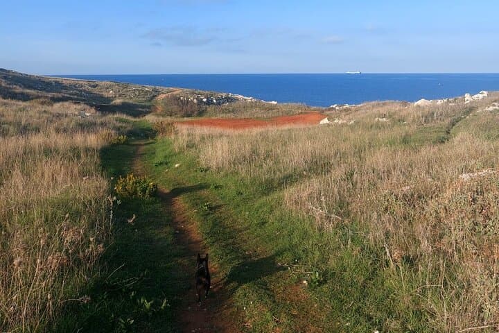 Cava di Bauxite to Otranto: Half-Day Coastal Hike and Town Visit photo 5
