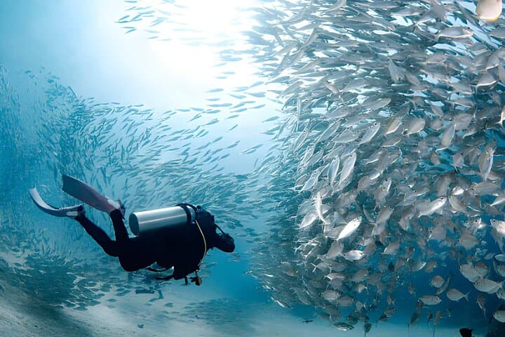 Introductory Scuba Day Trip from Hurghada: Red Sea Beginner Boat Dive with Lunch