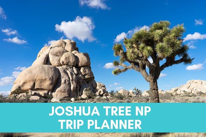 Joshua Tree National Park Trip Planner — Routes, Stops & Practical Tips