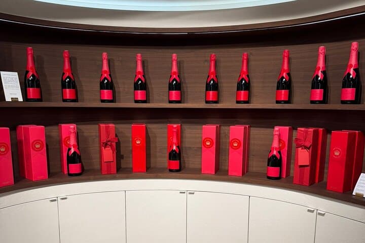 Reims Day Trip from Paris: Champagne Cellars, Cathedral & Tastings photo 5